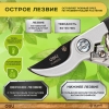 Вид 5